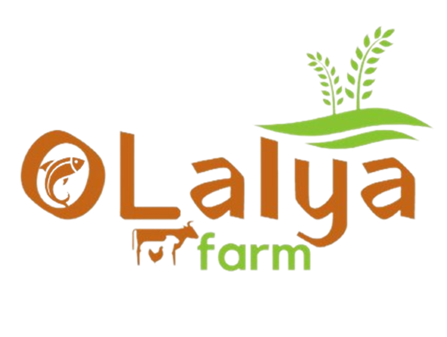 OLA IYA FARM LTD - OGUN NIGERIA